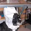 sandraluffy - @sandraluffy - TikTok