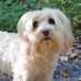 Sandra Luft - Facebook