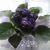 Sandra Luft - @sandra.luft - TikTok
