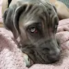 sandraluiss - @sandraluis1982 - TikTok