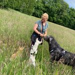 Sandra Luther - @sandraspfotenbande - Instagram