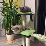 Sandra Luther - @san_luth_ - Instagram