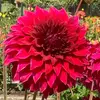 Sandra_Lutz - @sandra_lutz - TikTok