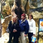 Sandra Lykins - Facebook