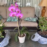 Sandra Lytle Brown - @sc7082024 - Instagram