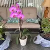 Sandra Lytle Brown - @sandra.lytle.brow - TikTok