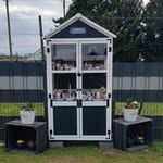 Sandra Maaß - @maassarbeit2025 - Instagram