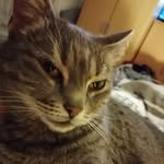 Sandra Maaß - @flingomine - Instagram