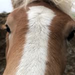 Sandra Maaß - @sternie1983 - Instagram