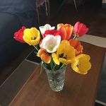 Sandy Macaulay - @sandymacaulay0408 - Instagram