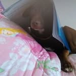 SandraT05 - @sandradimacchia - Instagram