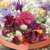 Sandra Macfarlane985 - @sandramacfarlane1 - TikTok