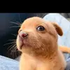 Sandra Machuca - @sandra.machuca - TikTok