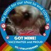 Sandra Mackinnon sanny - @sandra.mackinnon - TikTok