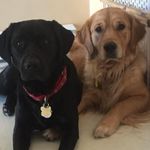 Sandra MacLean - @sbmac70 - Instagram