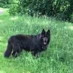 Sandra Maclean - @sandstorm_47 - Instagram
