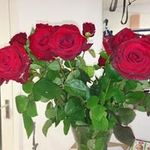Sandra M - @sandra.maclean.169 - Instagram