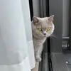 Sandra Macri - @sandra.macri0 - TikTok