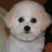 Sandra J Madia - Facebook