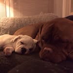 Sandra Mäder - @sandra.maeder - Instagram