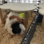 Sandra Mäder-Kessler - @sandra_maederkessler - Instagram