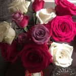 Sandra Mahaffey - @mahaffey_sandra - Instagram