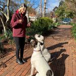 Sandra Mahar - @bullarab_babies - Instagram