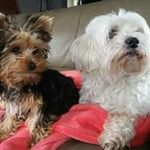 Sandra Maio Wiesner - @maio_wiesner_sandra_ - Instagram