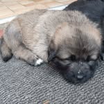 Sandra Malinowski - @malinowski.sandra2020 - Instagram