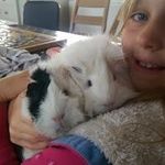 Sandra Manchester - @thisdiamondforever - Instagram
