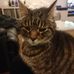 Sandra Mandeville - Facebook