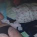 Sandra Mangnall - Facebook