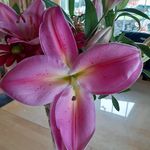 Sandra Mannion - @sandym52016 - Instagram