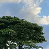 mannysandra - @mannysandra - TikTok