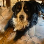 Sandra Mantz - Facebook