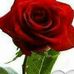 Sandra Mara - Facebook
