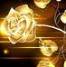 Sandra Marek - Facebook
