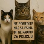 Sandra Marić - Facebook