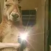 Sandra maricela Gómez de Laíne - @sandra.maricela.g1 - TikTok