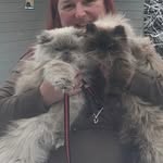 Sandra Mariën - @merlot_chablis_vantvlokske - Instagram