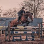 Sandra Marien - @sandra.marien.75 - Instagram