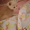 Sandra Marinelli - @nala0710 - TikTok
