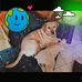Sandra Marinelli - Facebook