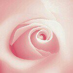 sandramarinelli - @sandramarinelli - Instagram
