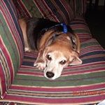 Sandra L. Parmer Markey - @sandral.parmer - Instagram