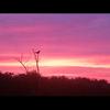 Sandramarkland200 - @sandramarkland200 - TikTok