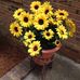 Sandy Markland - Facebook