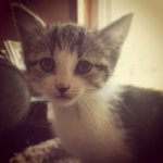 Sandra Markley - @strarare - Instagram