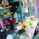 Sandra Marlatt - @adelorriddi3 - Instagram