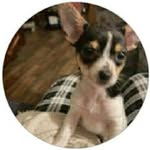 Sandra Talbert Marlow - @marlowsandratalbert - Instagram